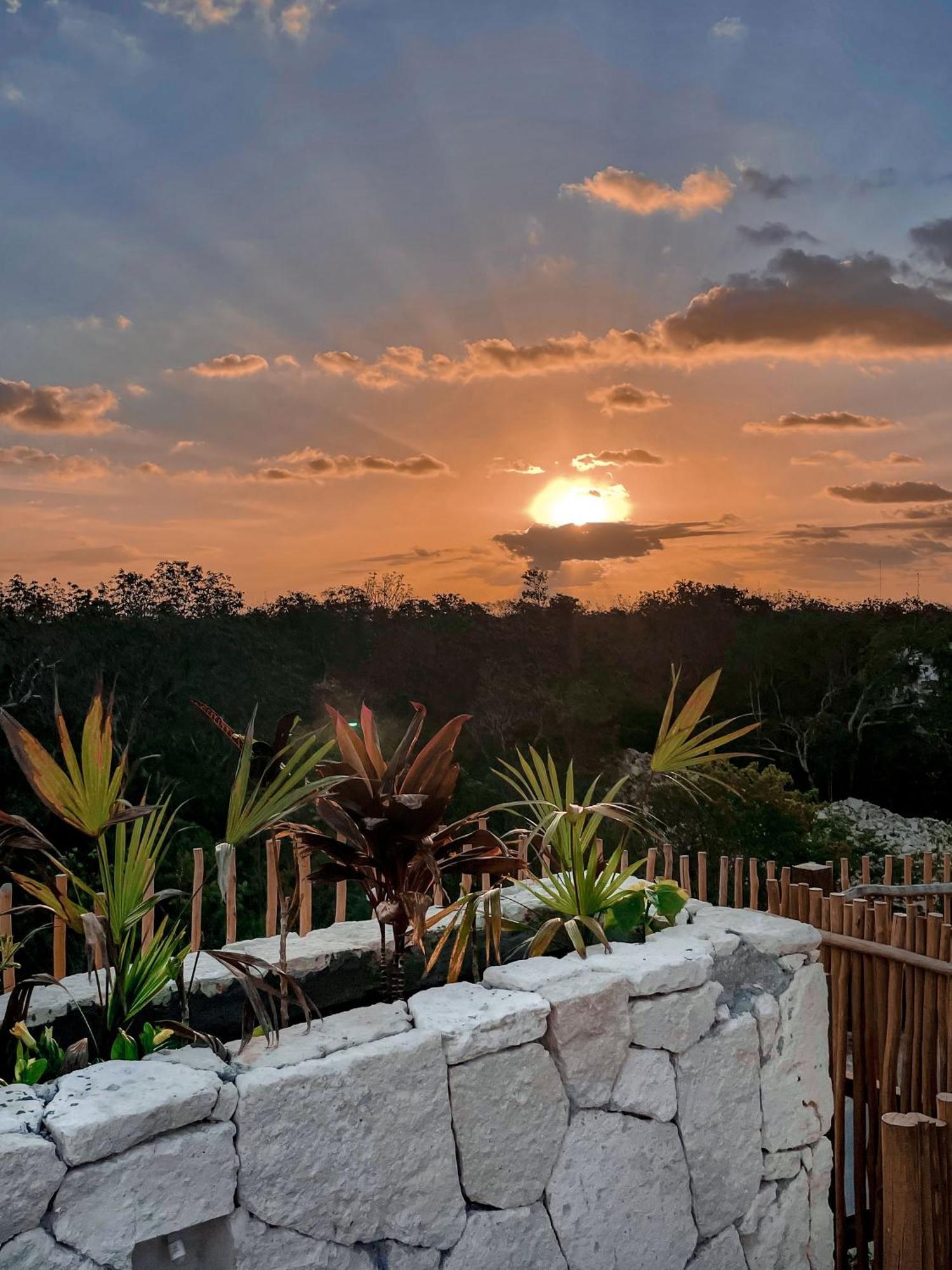 Jungle Boho Designer Apart 11 W50 Off Access Hotel Bardo Tulum Eksteriør bilde